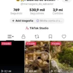 Conta monetizada com 530 mil seguidores e quase 4 milhões de curtidas bem engajada e com mais de 300 vidios