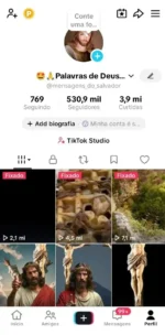 Conta monetizada com mais de 530 mil seguidores e quase 4 milhões de curtidas bem engajada e com mais de 300 vídeos