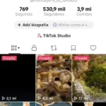 Conta Tiktok monetizada com mais de 530 mil seguidores e quase 4 milhões de curtidas bem engajada e com mais de 300 vídeos