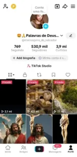Conta monetizada com 530 mil seguidores e quase 4 milhões de curtidas bem engajada e com mais de 300 vidios