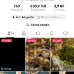 Conta monetizada com 530 mil seguidores e quase 4 milhões de curtidas bem engajada e com mais de 300 vidios