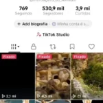 Conta monetizada com 530 mil seguidores e quase 4 milhões de curtidas bem engajada e com seguidores ativos com mais de 300 videos