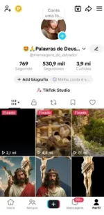 Conta monetizada com 530 mil seguidores e quase 4 milhões de curtidas bem engajada e com seguidores ativos com mais de 300 videos