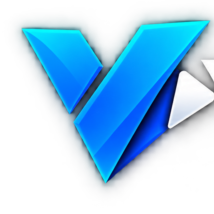 VIZION