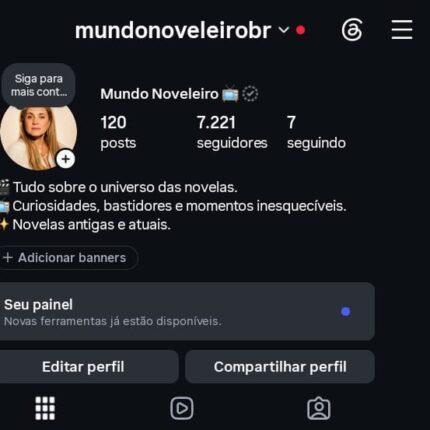 Conta Instagram com 7K