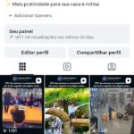 perfil do Instagram 37K seguidores brasileiros 🇧🇷