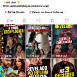 Tik tok com 81 mil seguidores monetizada