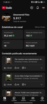 Canal Monetizado Inglês - 5.917 Inscritos