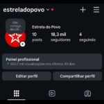 Perfil do instagram 19K seguidores brasileiros 🇧🇷