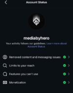 CONTA INSTAGRAM 4.8K DE SEGUIDORES MUITO ENGAJDA 2 MILHÕES DE VIEWS POR MÊS - Imagem 3
