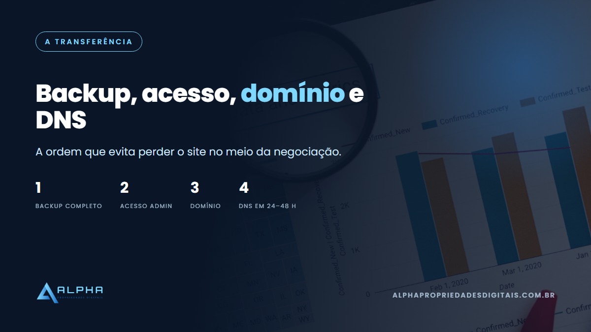 transferência de site: backup, acesso, domínio e DNS