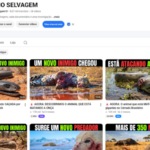 Vendo Canal Youtube Monetizado Reino Animal com 8.500 Inscritos