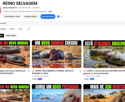 Vendo Canal Youtube Monetizado Reino Animal com 8.500 Inscritos
