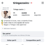 Instagram Tiringa com 8600 Seguidores
