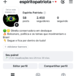 Instagram 2450 Seguidores | Espírito Patriota