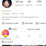 107 MIL SEGUIDORES, 1.9 M DE CURTIDAS - Nicho adolescente/criança