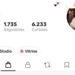CONTA TIKTOK SHOP 🇧🇷 COM LIVE STUDIO PC +1K DE SEGUIDORES BR