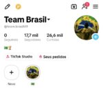 Conta de TikTok 17k de seguidores