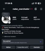 CONTA INSTAGRAM ORGANICA 11.600 SEGUIDORES