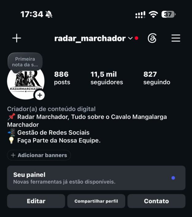 cropped-WhatsApp-Image-2026-10-09-at-17.39.27.jpeg CONTA INSTAGRAM ORGANICA 11.600 SEGUIDORES - Imagem 1