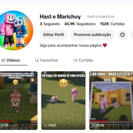 TIKTOK MONETIZADO 46K - NICHO MINECRAFT