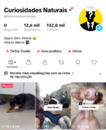 Conta monetizada com 12,6 mil seguidores e TikTok Shop ativa sem DOC.