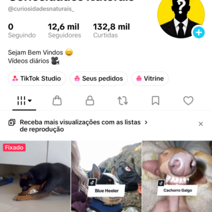 Conta monetizada com 12,6 mil seguidores e TikTok Shop ativa sem DOC.