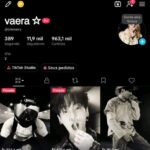 Conta TikTok 11,9K Seguidores – 963mil Likes, Super engajada