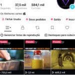 Conta TikTok BR Monetizada — 37K Seguidores e Continua subindo