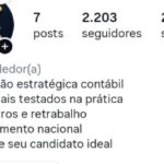 Perfil do Instagram com mais de 2200 seguidores orgânicos