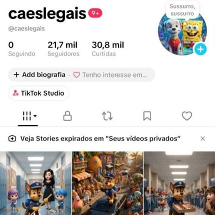 TikTok 21,7K Seguidores | 246K+ Views | 205K Espectadores | R$399