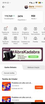 DUAS CONTAS KWAI COM KAWAI SHOP ATIVO SEM DOCUMENTACAO +1K - Imagem 3