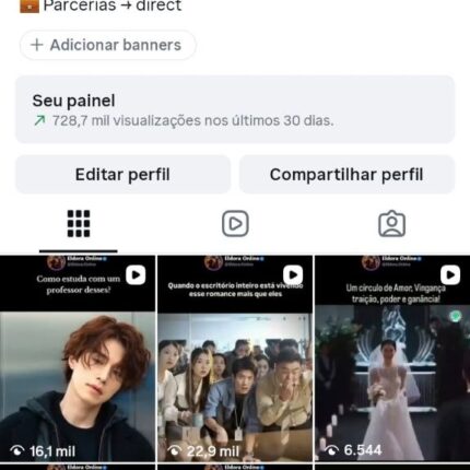 Conta de Instagram com 1.860 seguidores